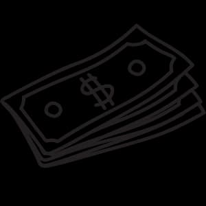 cash icon